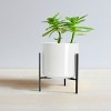 Storied Home Large White Stoneware Flower Pot with Black Metal Stand (Pot with Stand) - 3 of 4