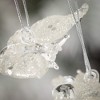 1"H Sullivans Insect Ornament - Set of 2  Clear Christmas Ornaments - 2 of 2