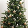 30 PCS Christmas Ball Ornaments for Christmas Trees, Decorative Hanging Ornaments Set, Silver - 4 of 4