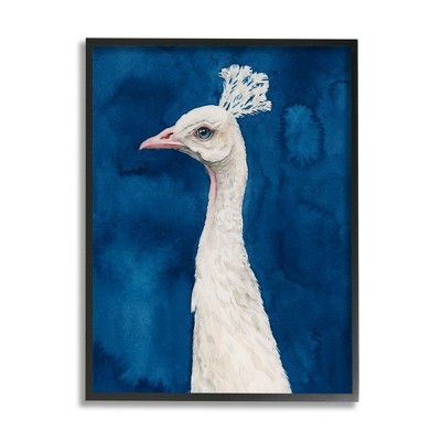 Stupell White Feather Peacock over Royal Blue Framed Giclee