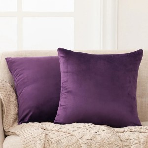 Deconovo Home Velvet Soft Decorative Pillow Covers Invisible Zipper Cushion Cover, 2-Pack - 1 of 4