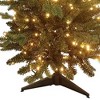 Kurt Adler 3-Foot Pre-lit Warm White LED Noble Fir Tree - 4 of 4