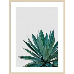Amanti Art Agave Cactus by Orara Studio Wood Framed Wall Art Print - 1 of 4
