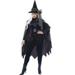 California Costumes Gothic Witch Plus Size Women's Costume