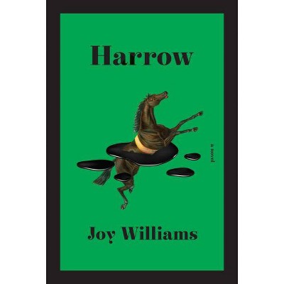 Harrow - by  Joy Williams (Hardcover)