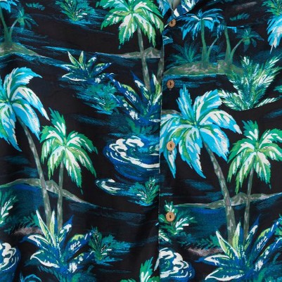 black palm