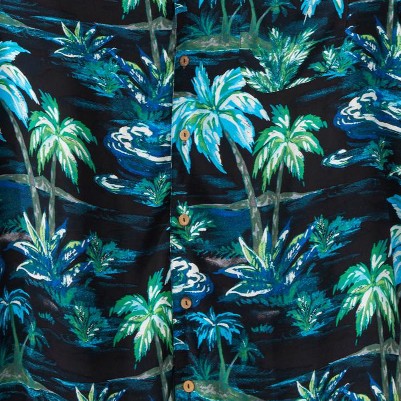 black palm