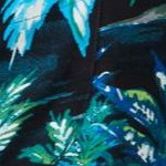 black palm