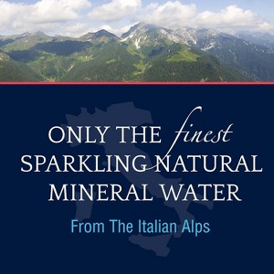 S.Pellegrino Sparkling Natural Mineral Water, 8.45 Fl Oz. Glass Bottle (24 Count) 8.45 Fl Oz (Pack of 24) 8.45 Fl Oz (24 Count) - 1 of 3