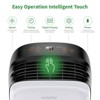 Waykar 30 Pint Dehumidifier for Home and Basement, Whisper Quiet with Smart Control - 2 of 4