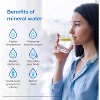 Waterdrop D6 Reverse Osmosis Water Filter, 600 GPD Under Sink Reverse Osmosis System, Extra Remineralization Independent Filter - 3 of 4