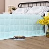 Costway 15lbs Premium Cooling Heavy Weighted Blanket Soft Fabric Breathable 48''x72'' Pink\Blue\Light Green - 2 of 4