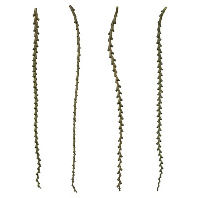 Vickerman Ladder Branches, Dried