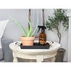 Darware Crazy Plant Lady Spray Bottle Set, 2pc Set; 16oz Amber Glass Spray Bottles Gardening Gift - 3 of 4