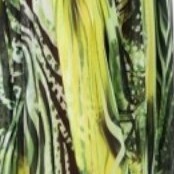 lime multi