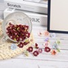 Unique Bargains Silk Realistic Handmade Decorative Artificial Daisy Flower Heads 50 Pcs - 4 of 4