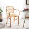 Keiko Cane Dining Chair - DCH9503 - Safavieh - 3 of 4