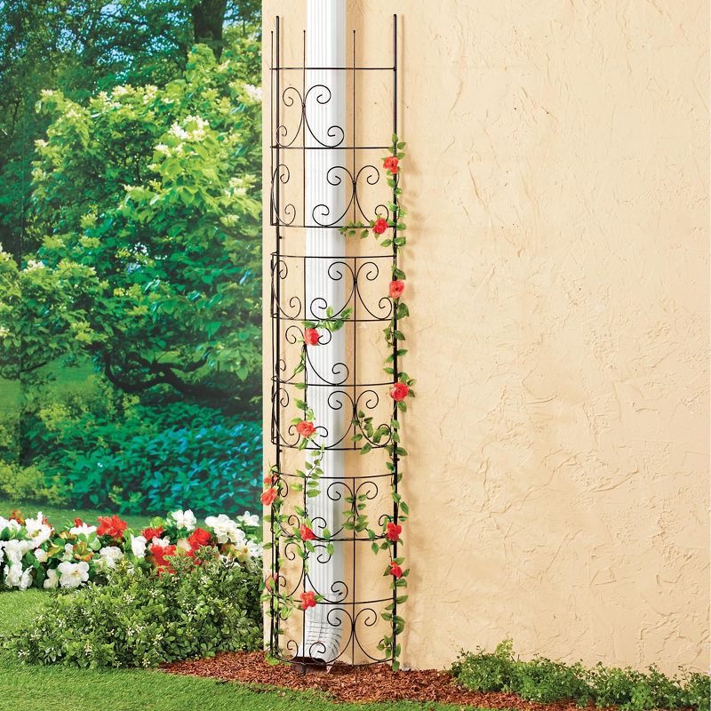 Collections Etc Curved Iron Garden Trellis - Over 5-Feet Tall 12 X 6 X 66.75, 2 of 3
