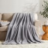 Inhand Fleece Throw Blanket for Couch Sofa or Bed, 50" x 60" Soft Fuzzy Plush Blanket, Luxury Flannel Blanket, Super Cozy and Comfy for All Seasons - 2 of 4
