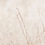 farmhouse gray