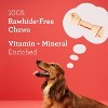 DreamBone Chicken and Vegetable Flavor Rawhide Alternative Dog Treats - 4ct/11oz - 4 of 4