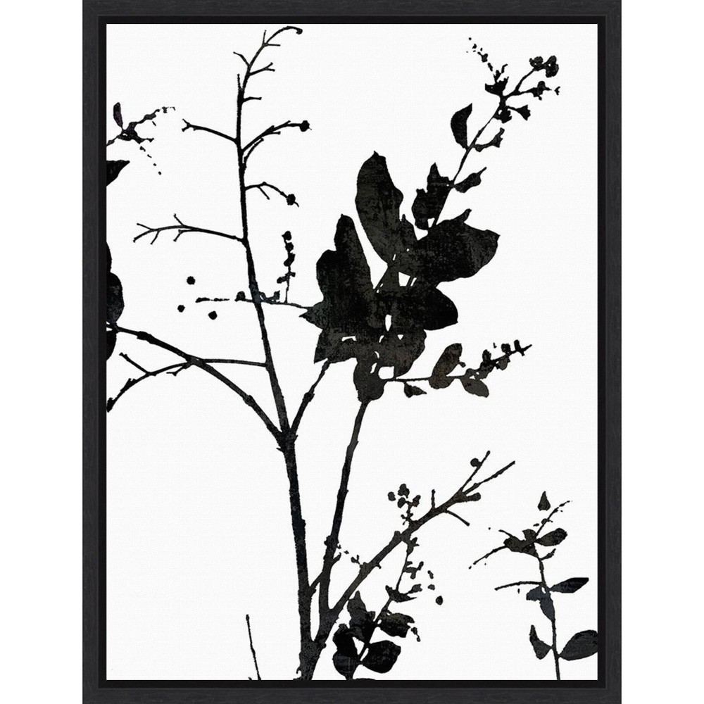 Photos - Wallpaper Amanti Art 18"x24" Nature Silhouette II  by Danielle Carson Framed(Leaves)