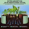 2pcs Raised Garden Beds Outdoor Kit, Galvanized Oval Planter Box, Metal Bottomless Elevated Garden Boxes Set for Planting - 3 of 4