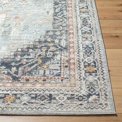 Nakea Pale Blue and Charcoal 5' x 7'5" Traditional Area Rug