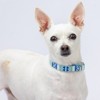 Country Brook Petz Premium Dog Collar - Christmas Collection - 2 of 4