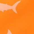 blue orange shark