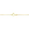 Haus of Brilliance 10K Yellow Gold 1/4 cttw Diamond Graduating 3 Stone Drop Pendant Necklace - 3 of 4