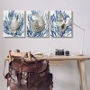 Stupell Industries Trio of Shells & Coral, 24" x 30" - 2 of 4