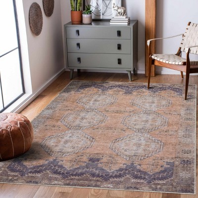 Hauteloom Carrabelle Peach Washable Area Rug