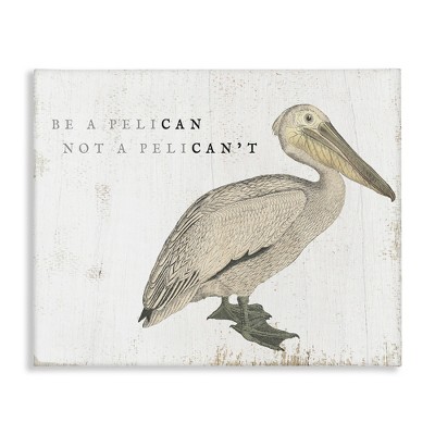 Stupell Industries Funny Pelican Beach Phrase Pun, 20" x 16"