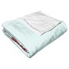 Cartoon Network Powerpuff Girls Girl Power Silk Touch Throw Blanket 50x60 Inches - 3 of 4