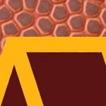 washington commanders