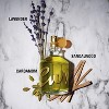Curve for Men Cologne Spray 6.8 oz – Long Lasting Spicy Woody Fragrance with Lavender, Cardamom & Sandalwood, Bold Versatile Everyday Cologne - 3 of 4