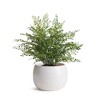 Plum & Post Kayla Pot Small - 3 of 3