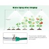 AMERLIFE Greenhouse with Watering System, 12 Windows, Swing Door, Galvanized Frame, Green - 4 of 4