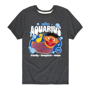 Boys' - Sesame Street - Ernie Aquarius Short Sleeve Graphic T-Shirt - 1 of 4