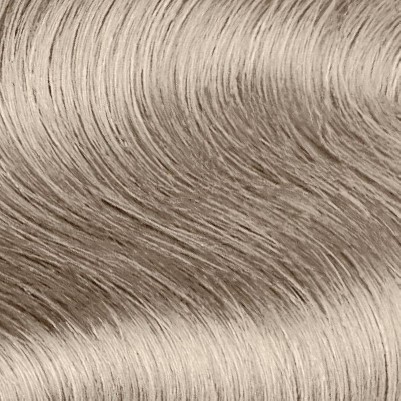 10.1 lightest ash blonde
