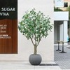 DR.Planzen 7ft UV Resistant Artificial Olive Tree with Grey Tall Planter, Pre Potted Fake Olive Tree for Indoor Outdoor Home Decor, Big Faux Plants - 2 of 4