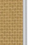 central florida golden knights