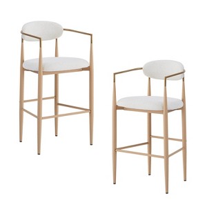 Vynxaria Beige Dining Chair Set of 2 with Natural Wood and Iron Legs - 1 of 4