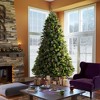 7.5ft Pre-Lit Cashmere Pine Full Artificial Tree LED Warm White - Vickerman - 3 of 4