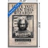 Trends International Harry Potter - Sirius Black Wanted Framed Wall Poster Prints - 3 of 4