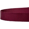 Country Brook Petz 6ft By 1 Inch Heavyduty Doublehandle Nylon Leash - 4 of 4