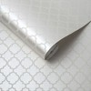 Trelliage Bead Pearl Neutral Geometric Paste the Wall Wallpaper - 3 of 4