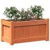 vidaXL Garden Planter Wax Brown 23.6"x12.2"x12.2" Solid Wood Pine - 4 of 4