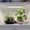Modern Sprout Growbar V2 Grow Light - Matte White - Smart, Metal - image 4 of 4